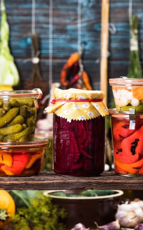 Hortalizas y verduras fermentadas y germinadas