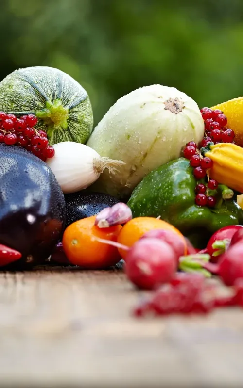 Conozcamos algo más sobre hortalizas y verduras