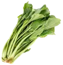 Borraja
