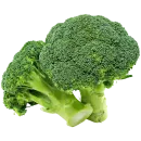Brécol