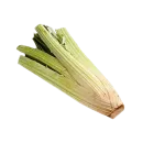 Cardo