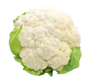 Coliflor