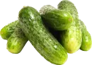 Pepino