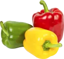Pimiento