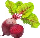 Remolacha