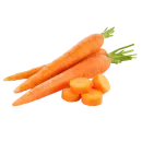 Zanahoria