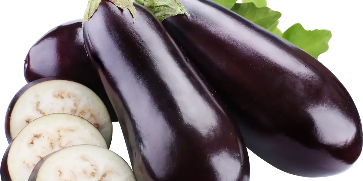 Berenjena :: Sarrera