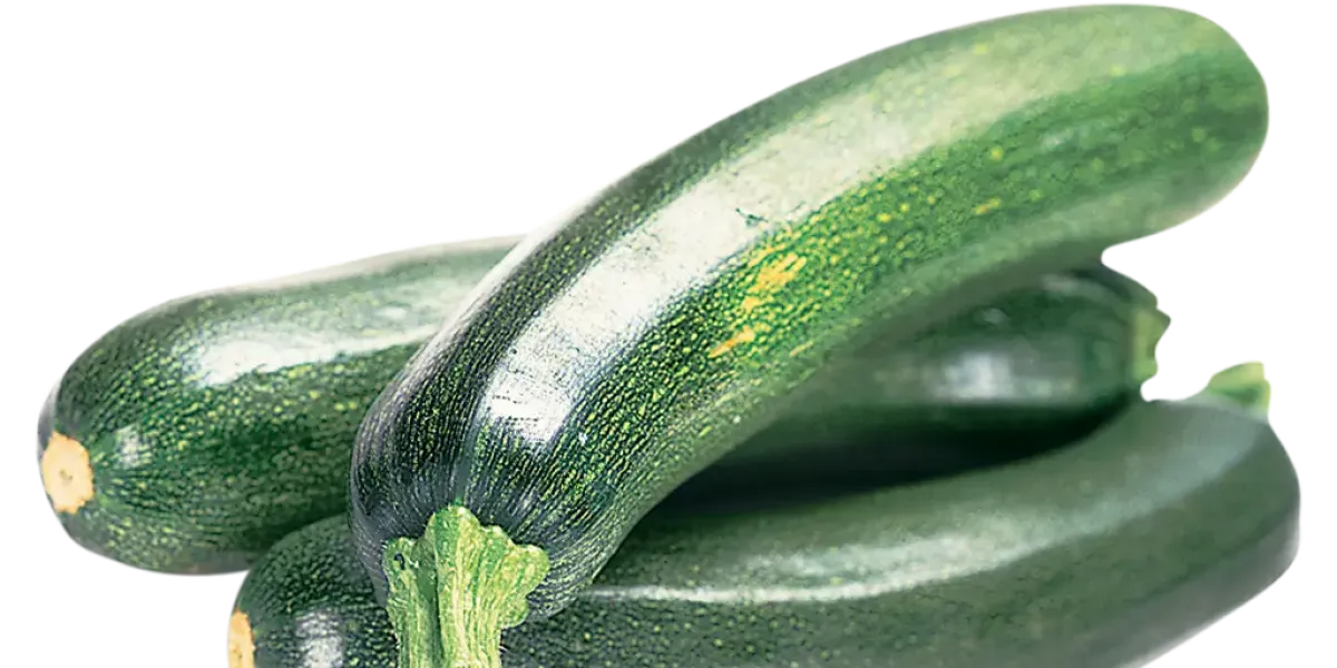Calabacín :: Sugerencias para los pequeños