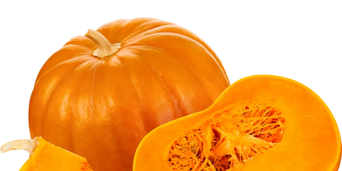 Calabaza :: Introducción