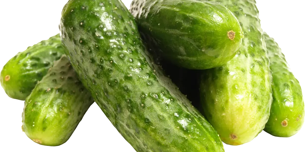 Pepino :: Curiosidades y cómo prepararla