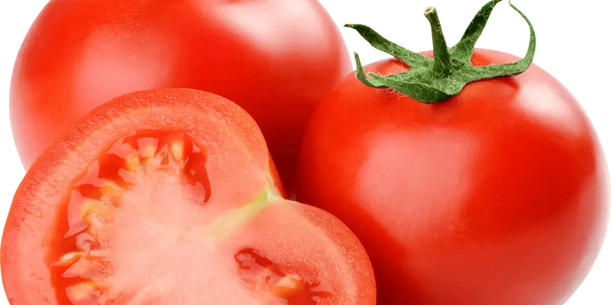 Tomate :: Sarrera